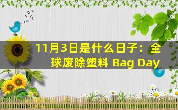 11月3日是什么日子：全球废除塑料 Bag Day